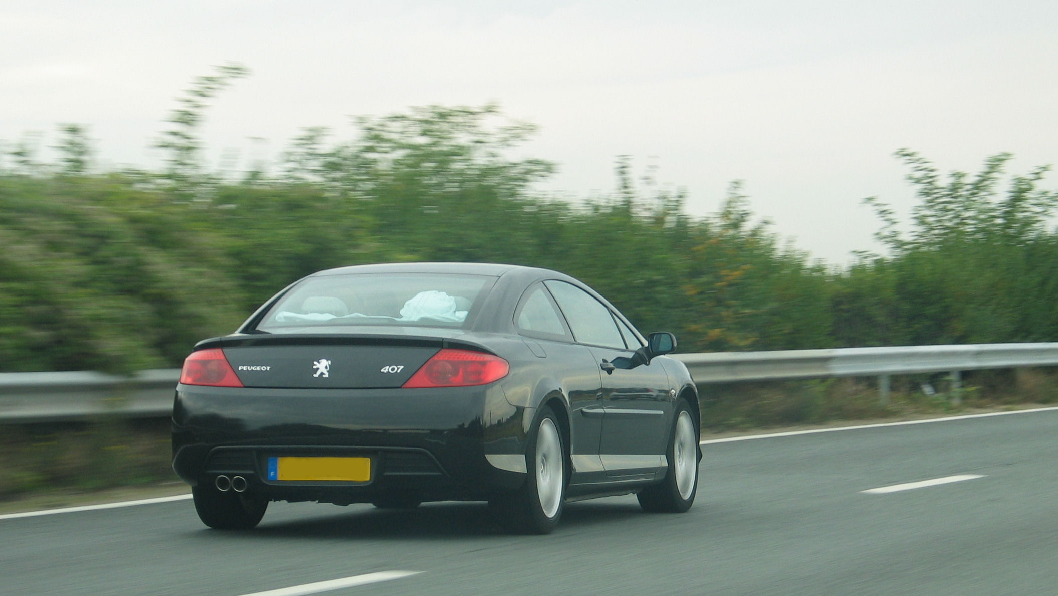 z 407 COUPE 95